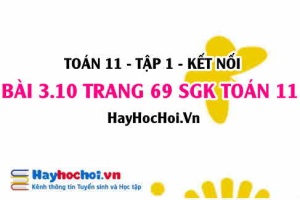 Giải bài 3.10 trang 69 Toán 11 tập 1 SGK Kết nối tri thức